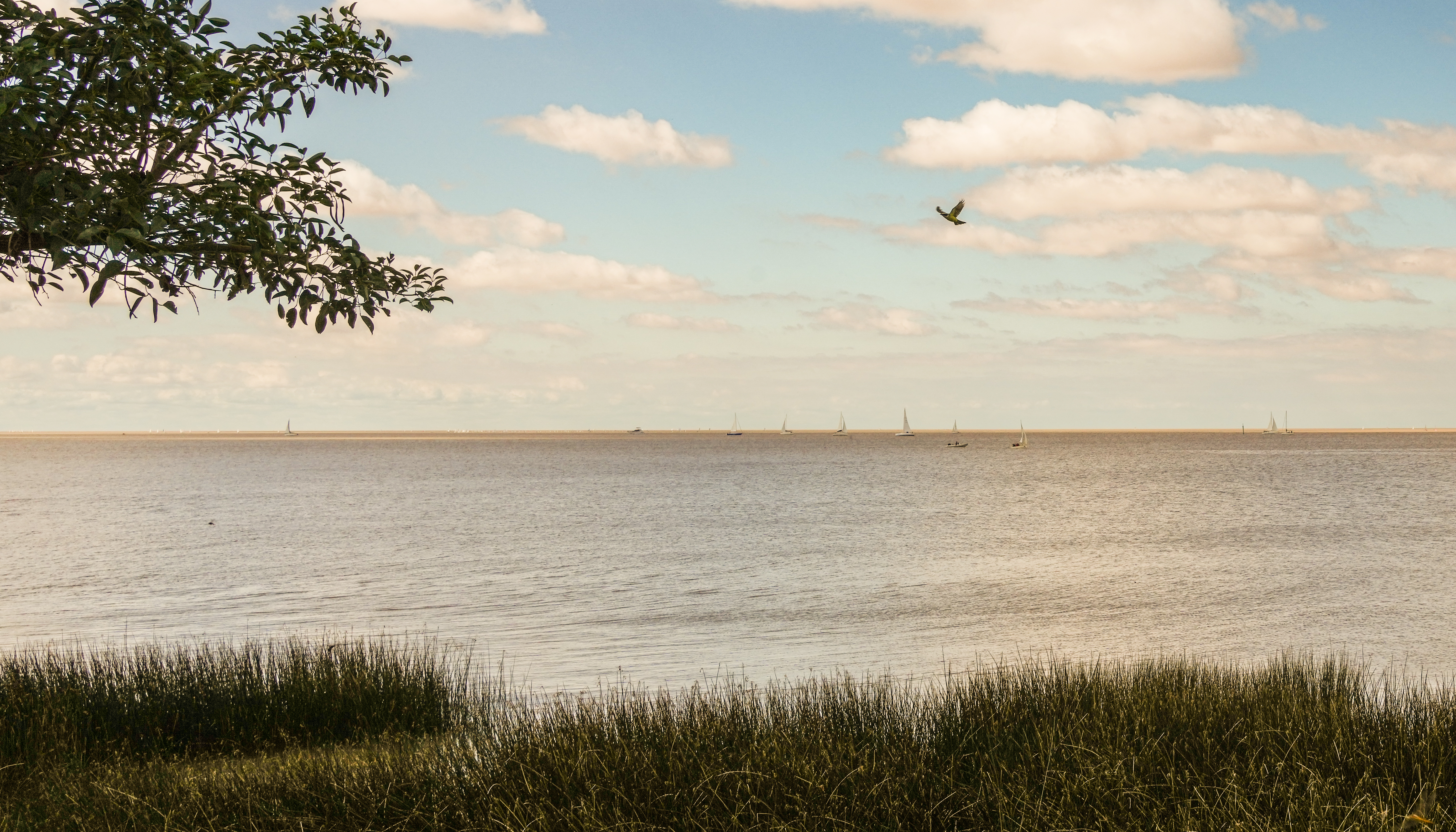 Rio de la plata